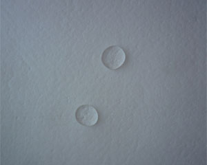 不滲透水的拒水防油除塵布袋實驗圖